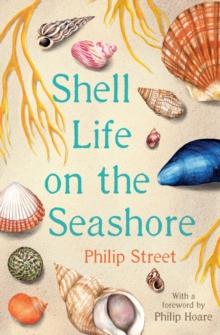 Shell Life on the Seashore - Arthur Beale