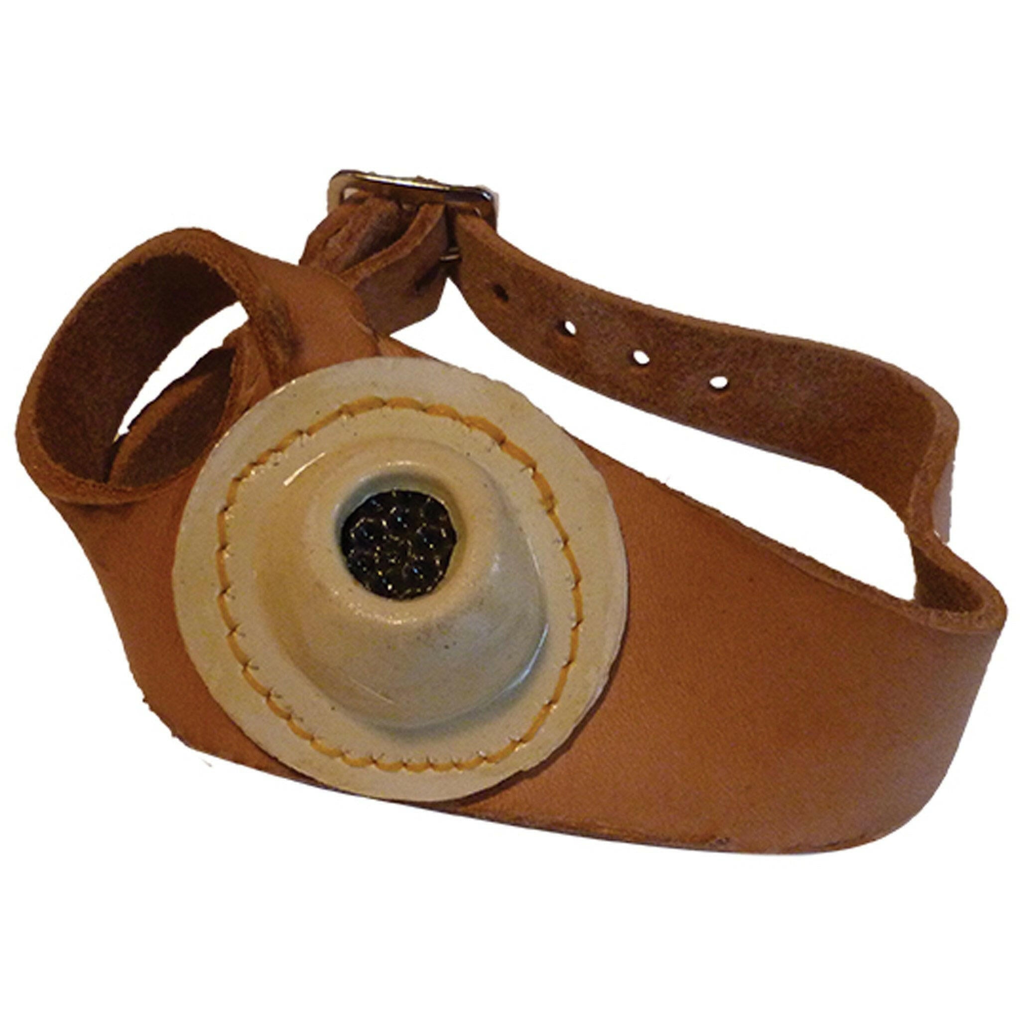 Sailmakers Palm - Arthur Beale