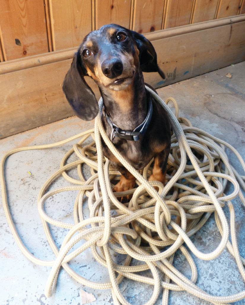 Learn a few Basic Seagoing Knots this Thursday Evening