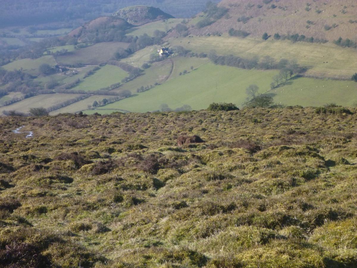 No wonder we struggle to keep up with demand for our Black Welsh Mountain Beerenberg Pullovers