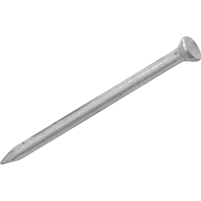 Masonry Nails (Assorted)