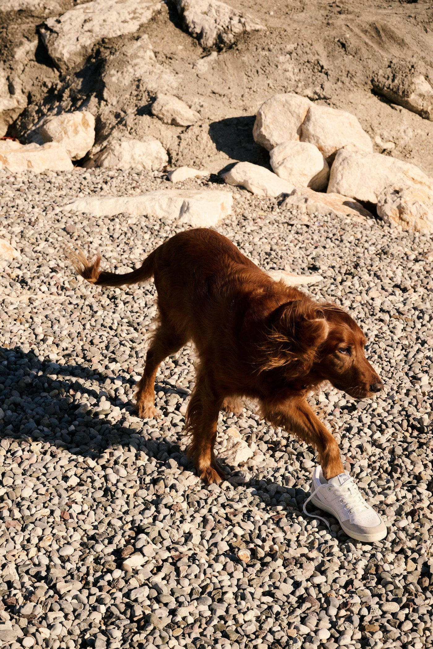DRAFT Womens Sebago Hurricane Trainer.