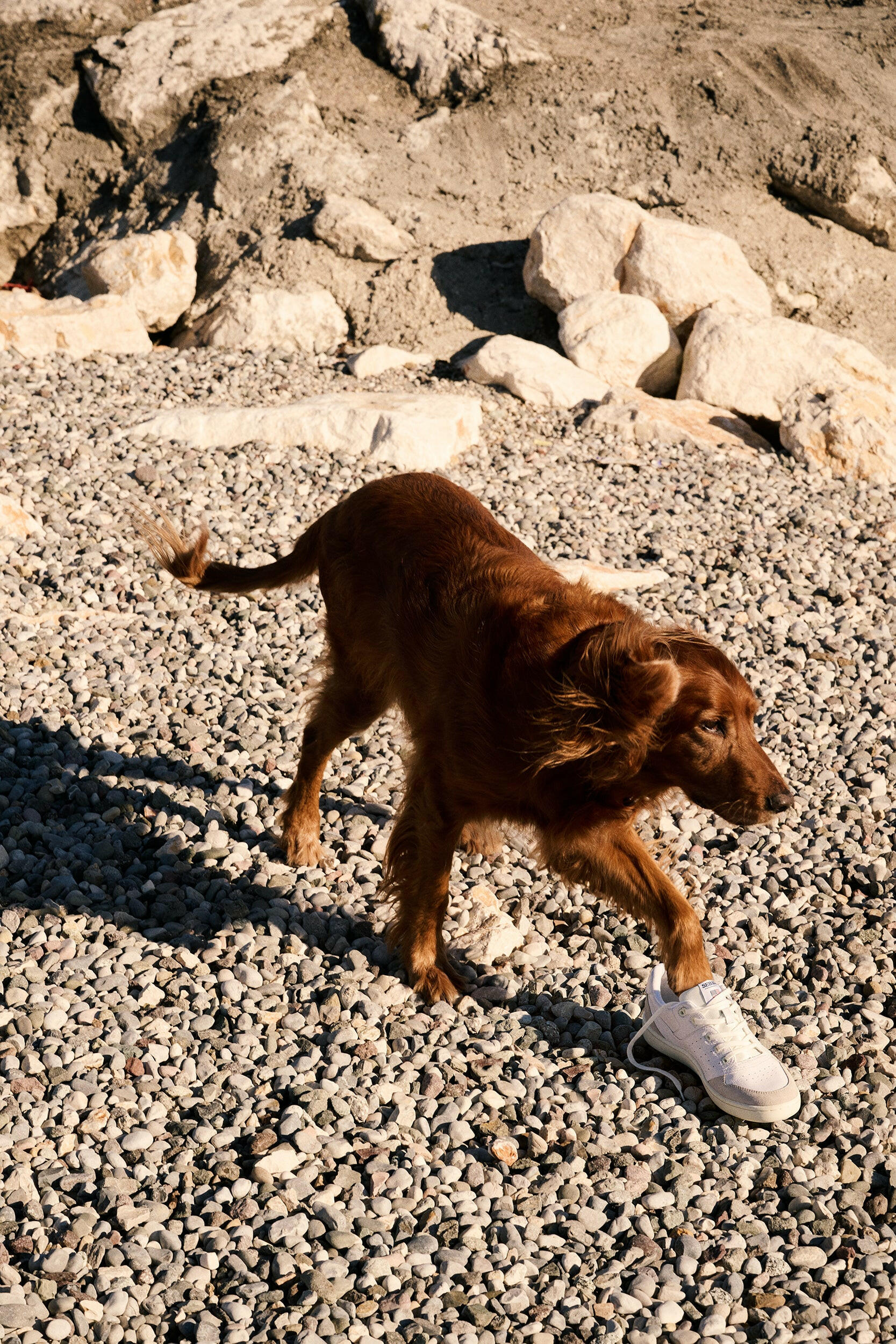DRAFT Womens Sebago Hurricane Trainer.