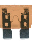 AMC Aftermarket Blade Fuse (Pack of 50).