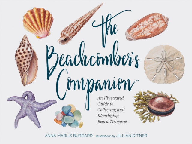 Beachcomber's Companion : An Illustrated Guide to Collecting and Identifying Beach Treasures