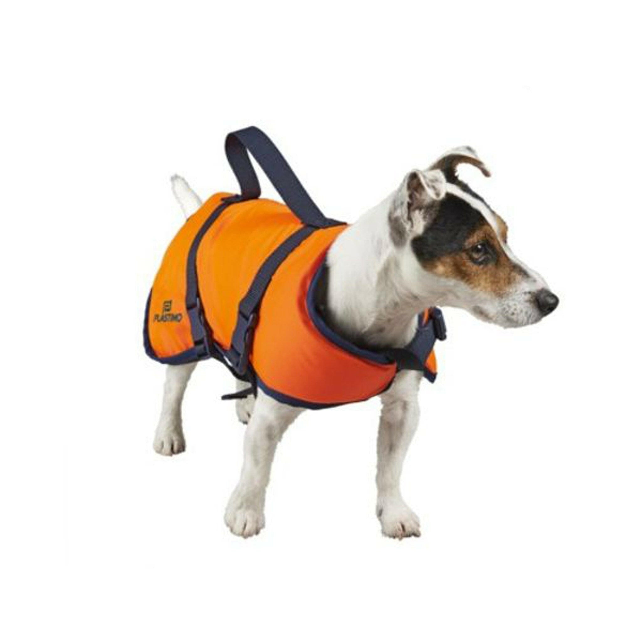 Dog Flotation Vest - Arthur Beale