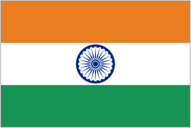 You added <b><u>INDIA FLAG</u></b> to your cart.
