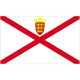 Courtesy Flag - Jersey - Arthur Beale