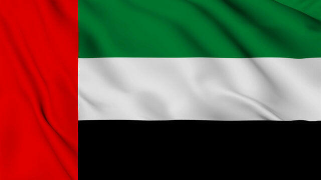 UAE FLAG.