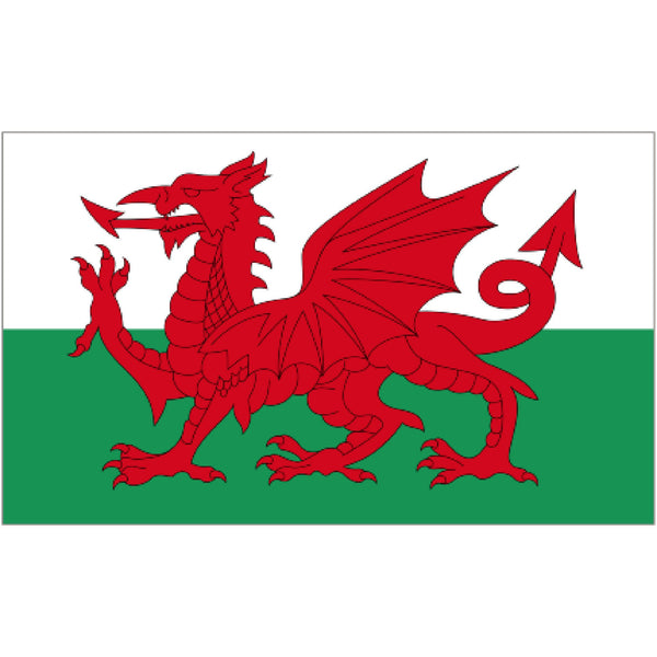 Courtesy Flag - Welsh Dragon - Arthur Beale