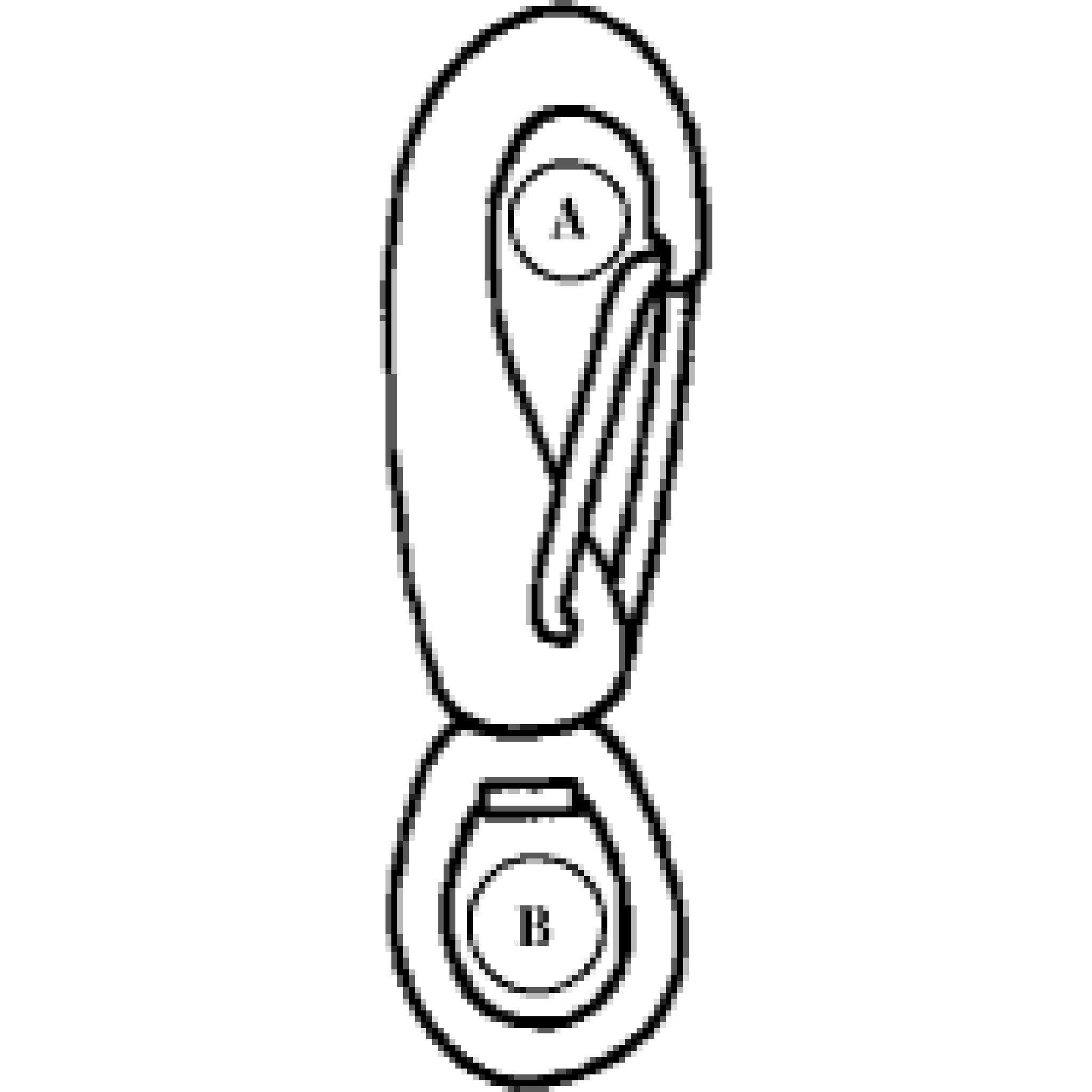 Wichard Swivel Snap Hook.