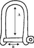 Wichard "Wide" Dee Shackle.
