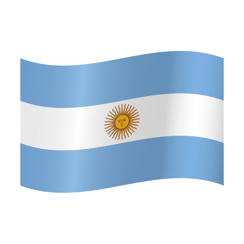 Courtesy Flag - Argentina (X) - Arthur Beale