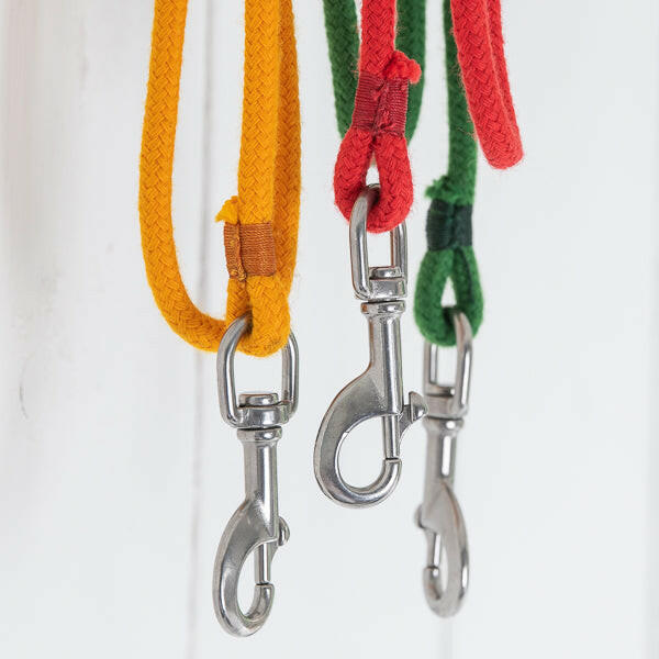 Arthur Beale Coloured Dog Lead.