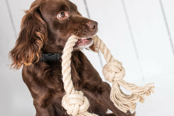 Arthur Beale Rope Dog Toy.