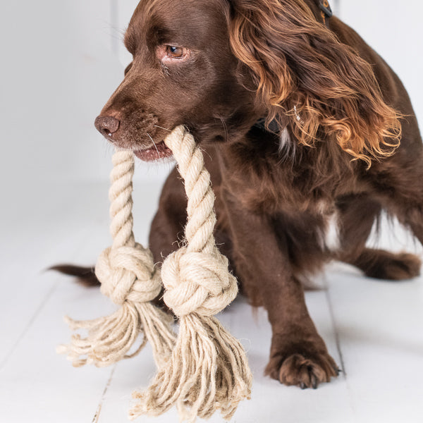 Arthur Beale Rope Dog Toy