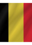 Courtesy Flag - Belgium - Arthur Beale