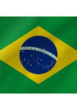 Courtesy Flag - Brazil - Arthur Beale