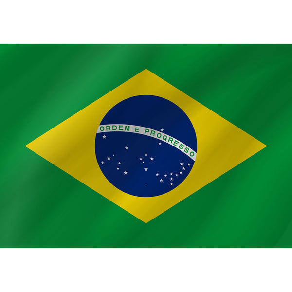 Courtesy Flag - Brazil - Arthur Beale