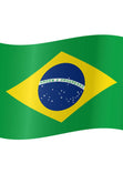 Courtesy Flag - Brazil - Arthur Beale