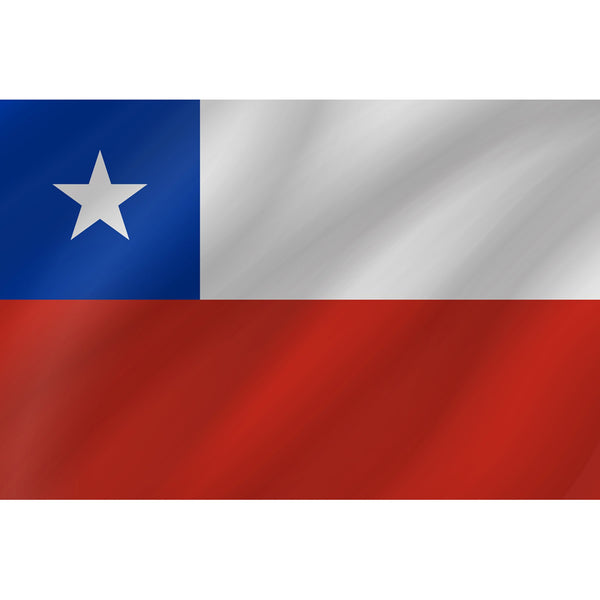 Courtesy Flag - Chile - Arthur Beale