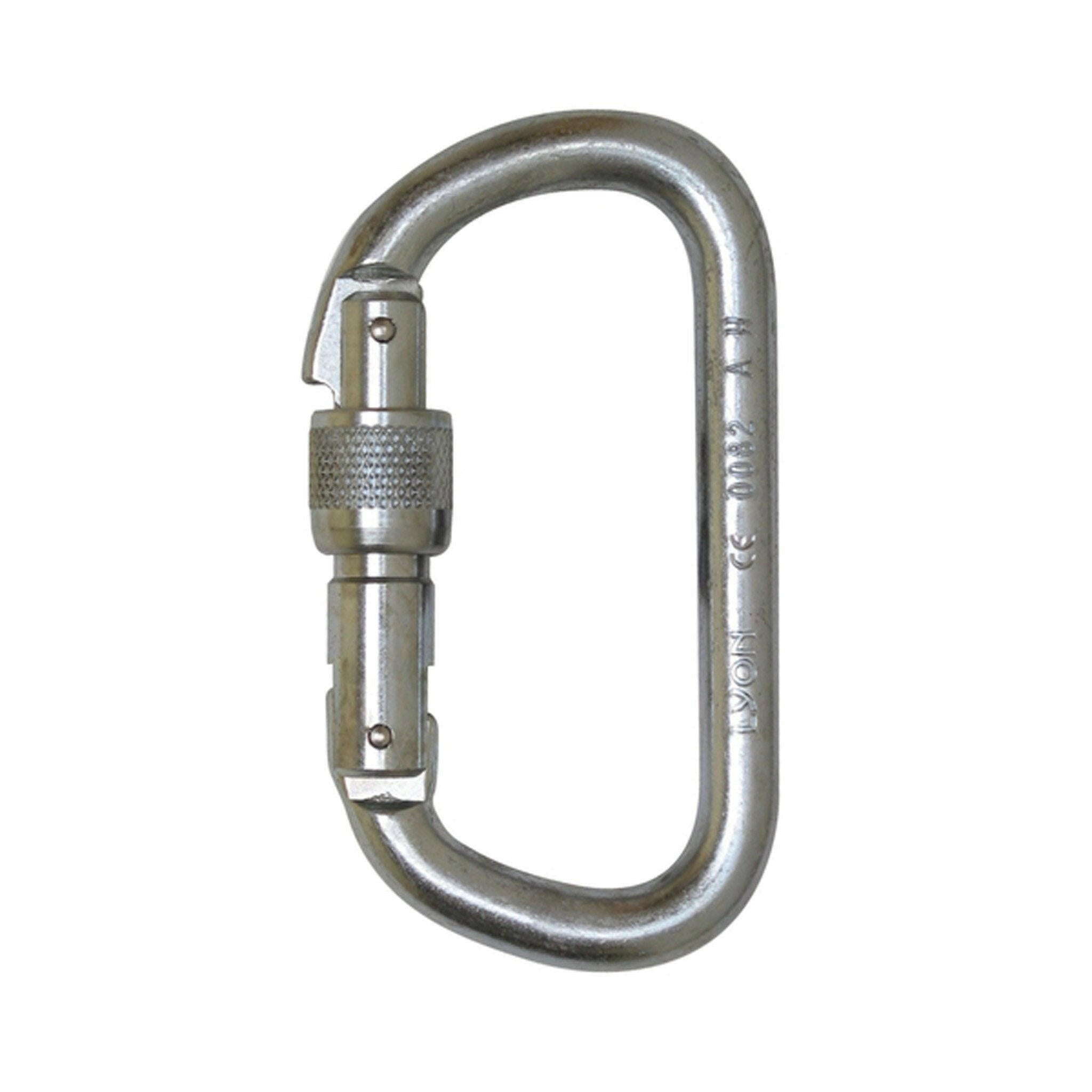 Foin 10mm Steel D Screwgate Karabiner - Arthur Beale